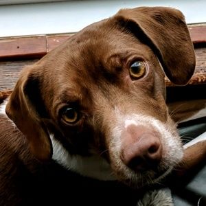 Meet your Posher, Leah